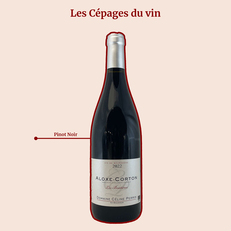 Aloxe Corton · Domaine Perrin Celine · Les Boutières · 2022 céoage