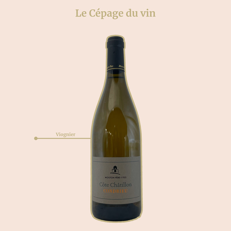 Condrieu Domaine Mouton Chatillon 2022 cépages
