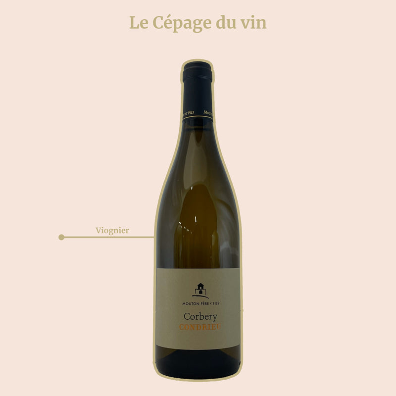 Condrieu Domaine Mouton Corbery 2022 cépage