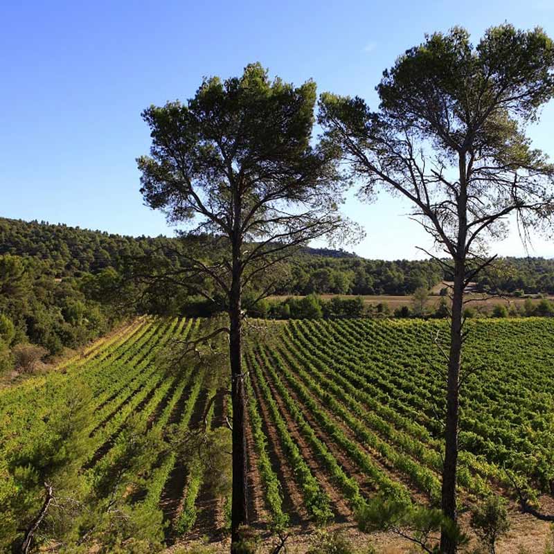 Domaine Val de Caire