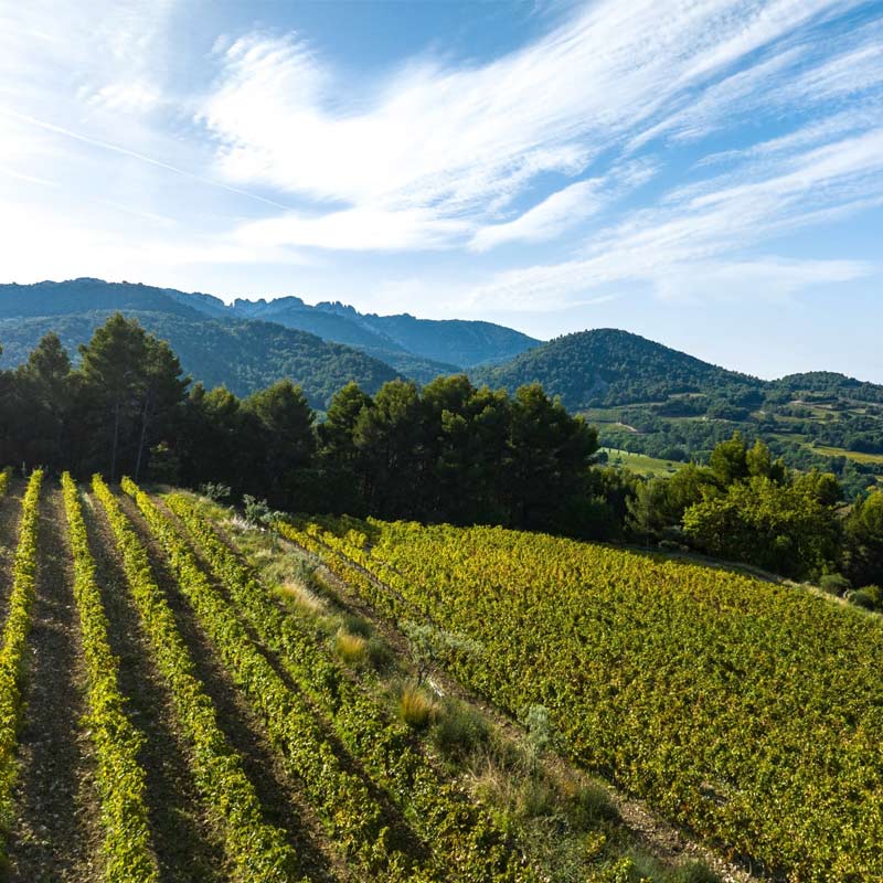 Domaine Verquieres